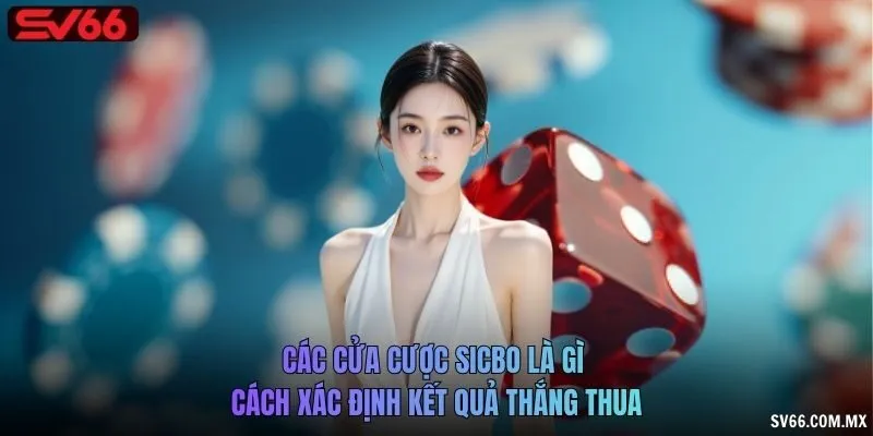 Các cửa cược Sicbo là gì và cách xác định kết quả thắng thua