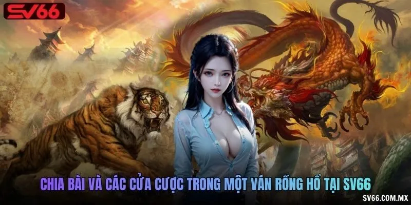 Chia bài và các cửa cược trong một ván Rồng Hổ tại SV66