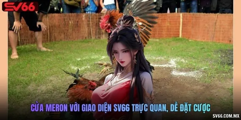 Cửa Meron với giao diện SV66 trực quan, dễ đặt cược