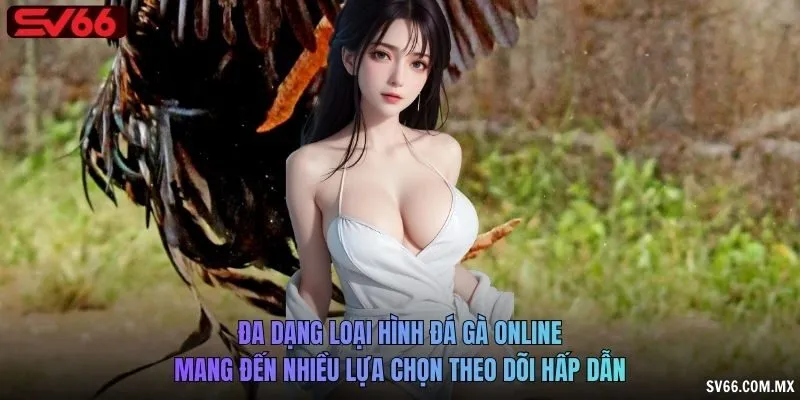 Đa dạng loại hình đá gà online mang đến nhiều lựa chọn theo dõi hấp dẫn