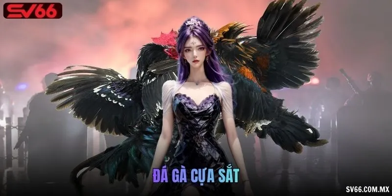 Đá gà cựa sắt