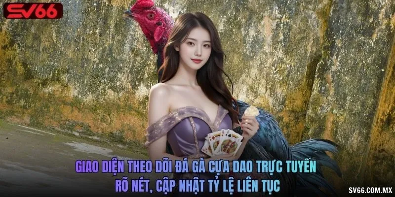 Giao diện theo dõi đá gà cựa dao trực tuyến rõ nét, cập nhật tỷ lệ liên tục