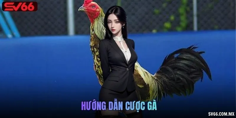Hướng dẫn cược gà