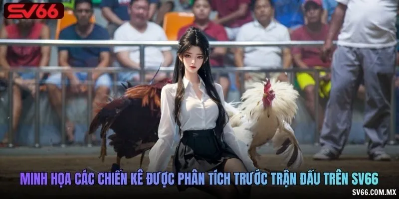 Minh họa các chiến kê được phân tích trước trận đấu trên SV66